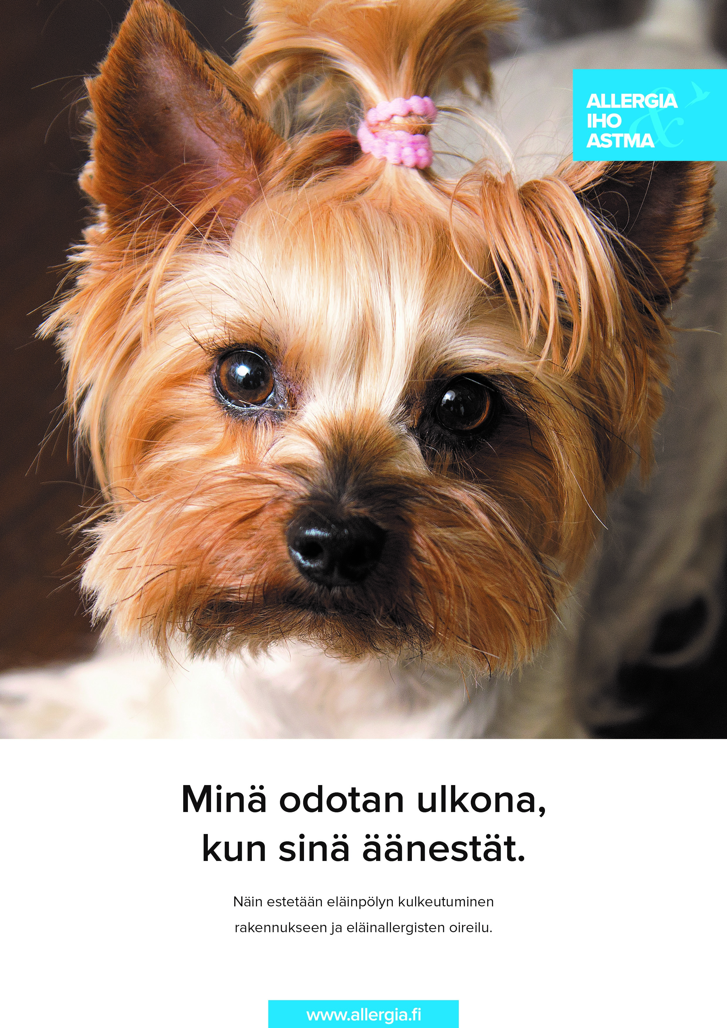 Newsletter01.18 Finnish new presidential election poster