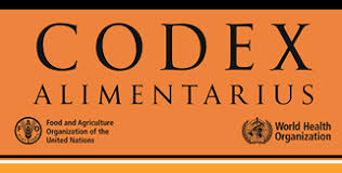 LOGO Codex