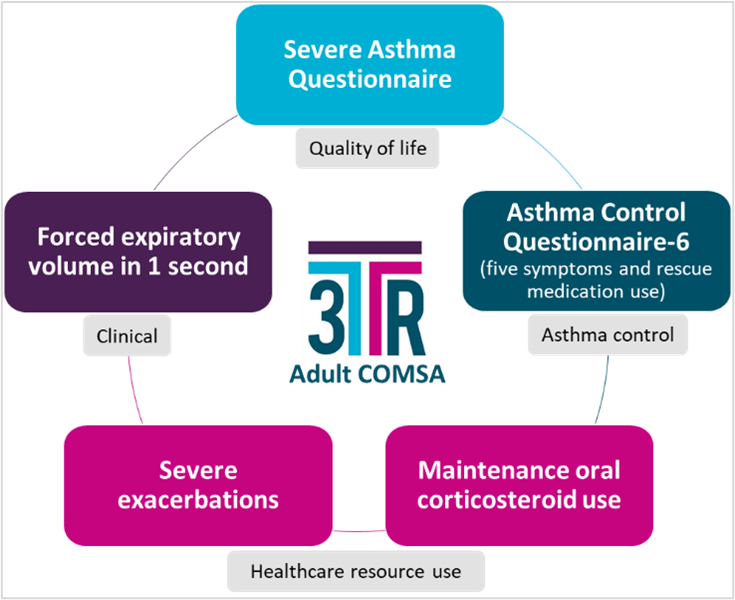 Scheme of the Adult COMSA 